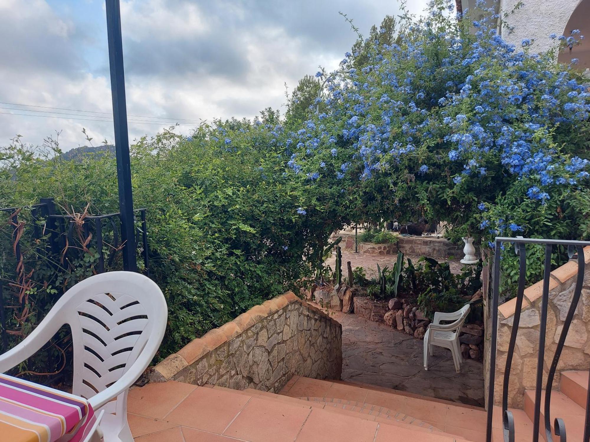 Apartamentos Christina Benicàssim Buitenkant foto